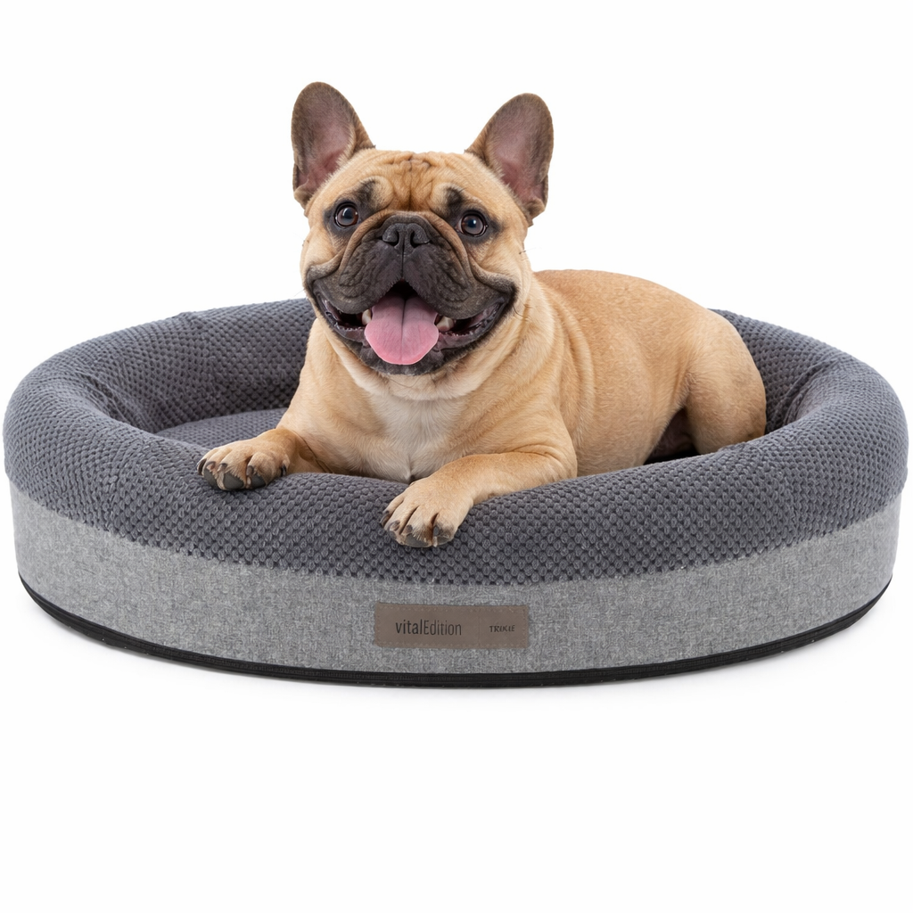 Cama Vital Eliano Ortopédica para perros