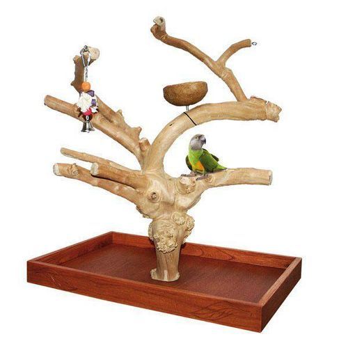 Java Mini Tree Small
