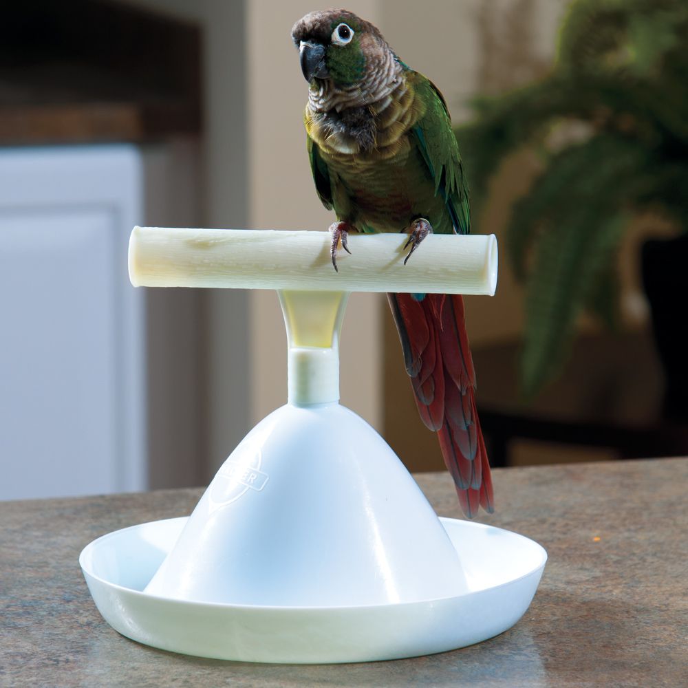 Percher