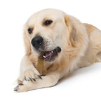 Hueso mordedor con aroma para perro Zeus Nosh Strong 11cm