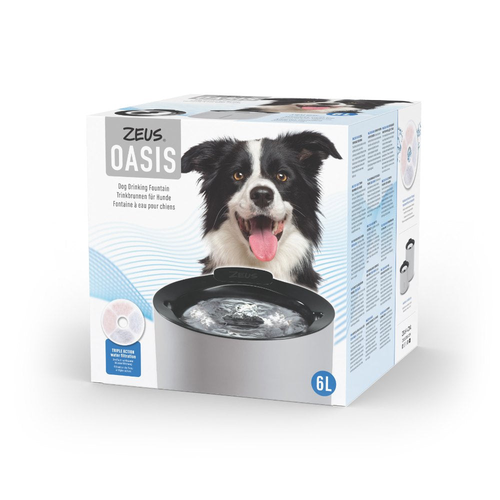 Fuente para perros Zeus Oasis