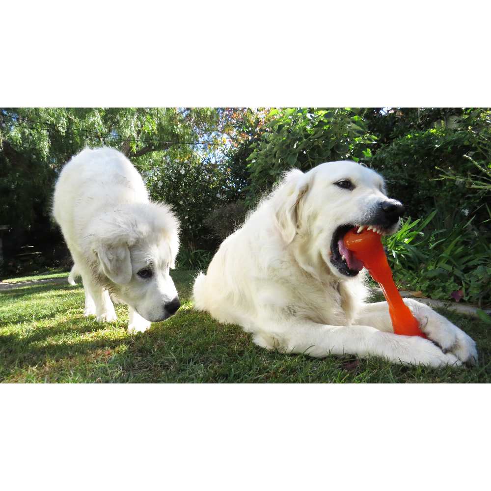 BIONIC Urban Stick, S, 20cm