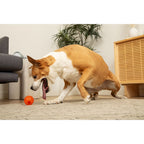 BIONIC Pelota, L 8.2cm