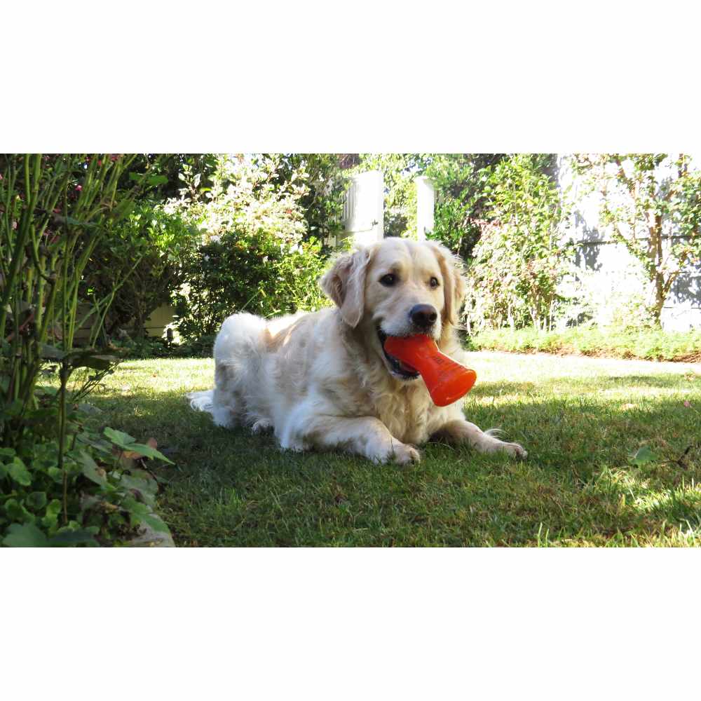 BIONIC Hueso, S 9.5cm