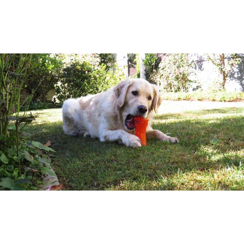 BIONIC Hueso, L15cm