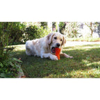 BIONIC Hueso, L15cm