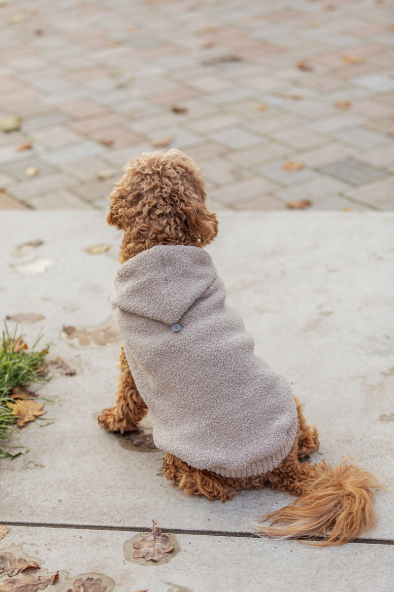 Sudadera Carson