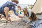 Ducha móvil para perros