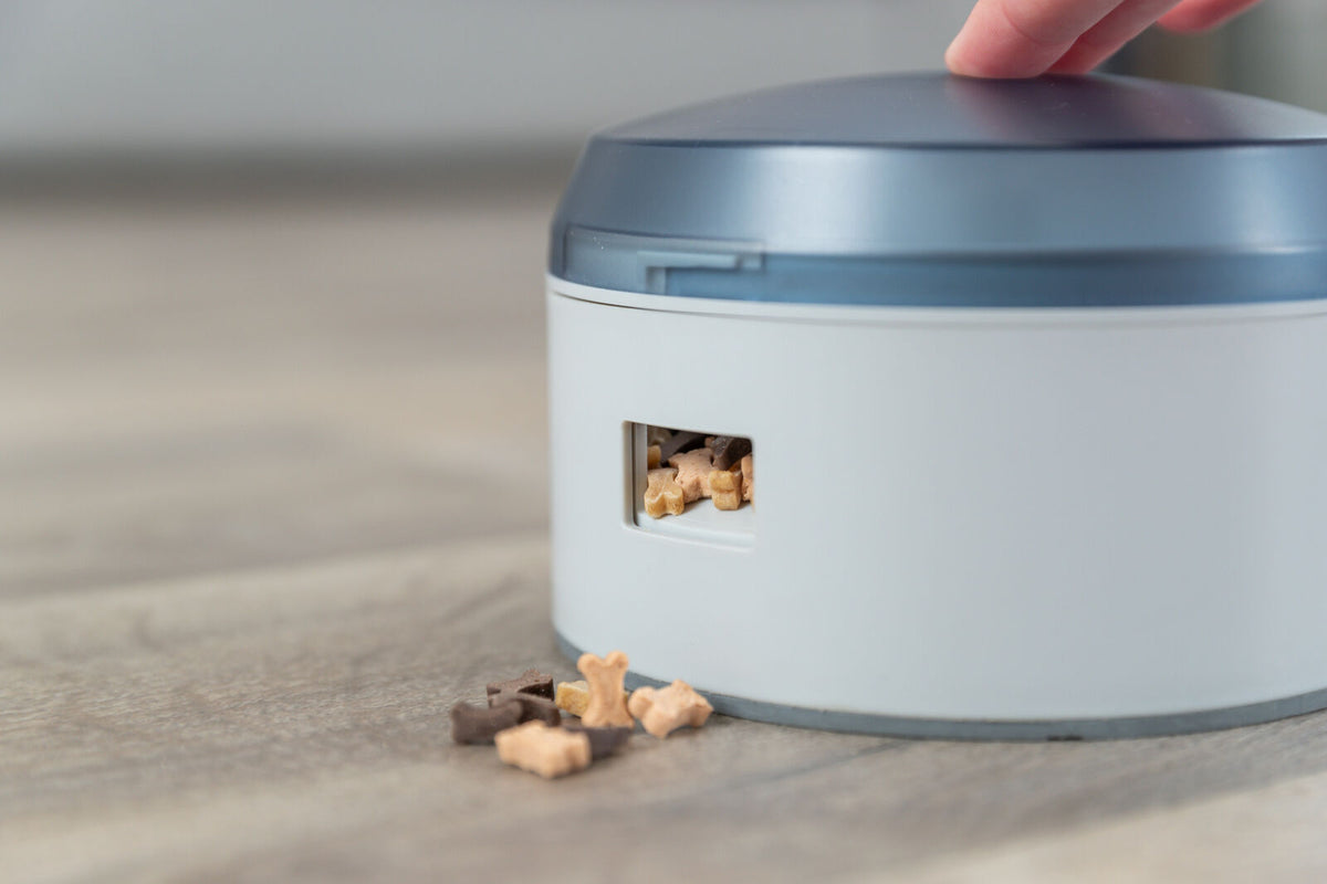Dog Activity Buzzer