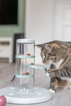 Cat Activity Gambling Tower
