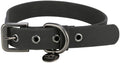 CityStyle Collar