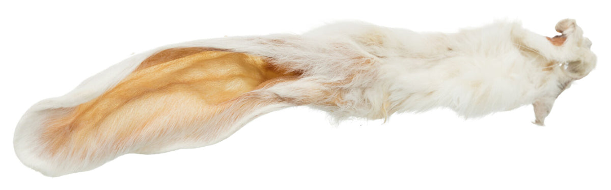 Orejas de conejo con piel