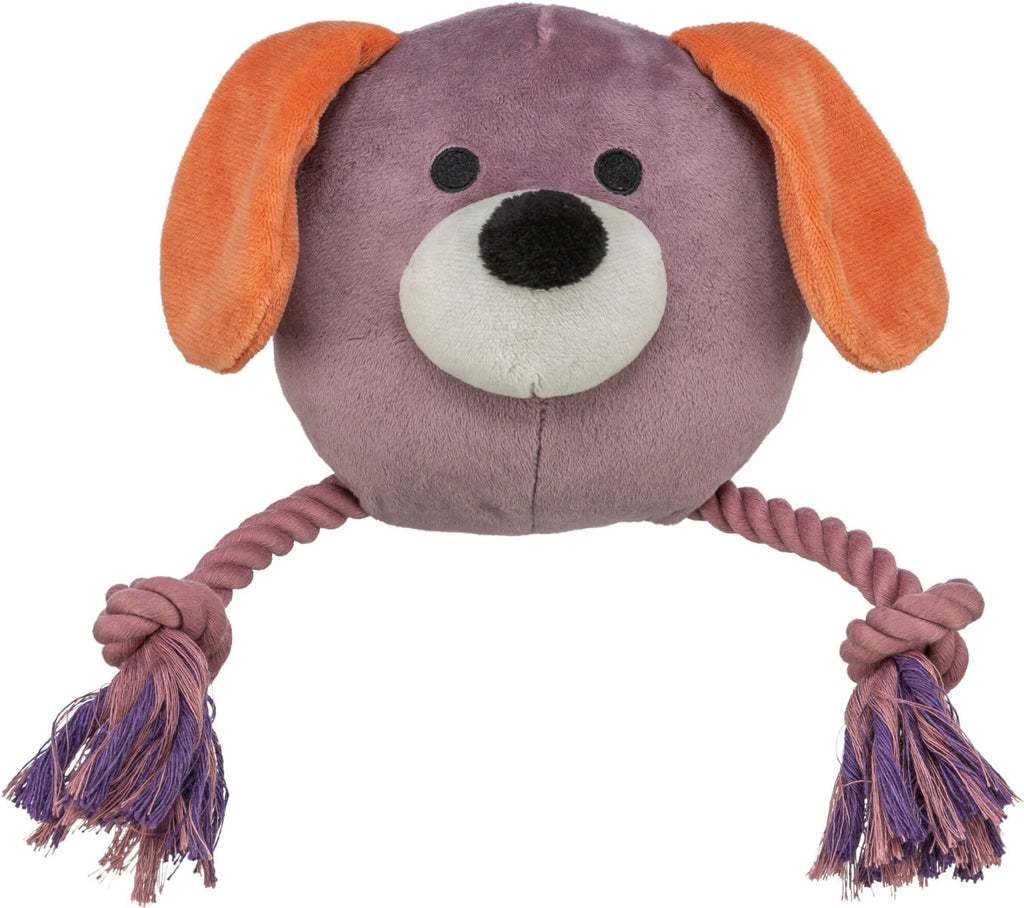 Perro