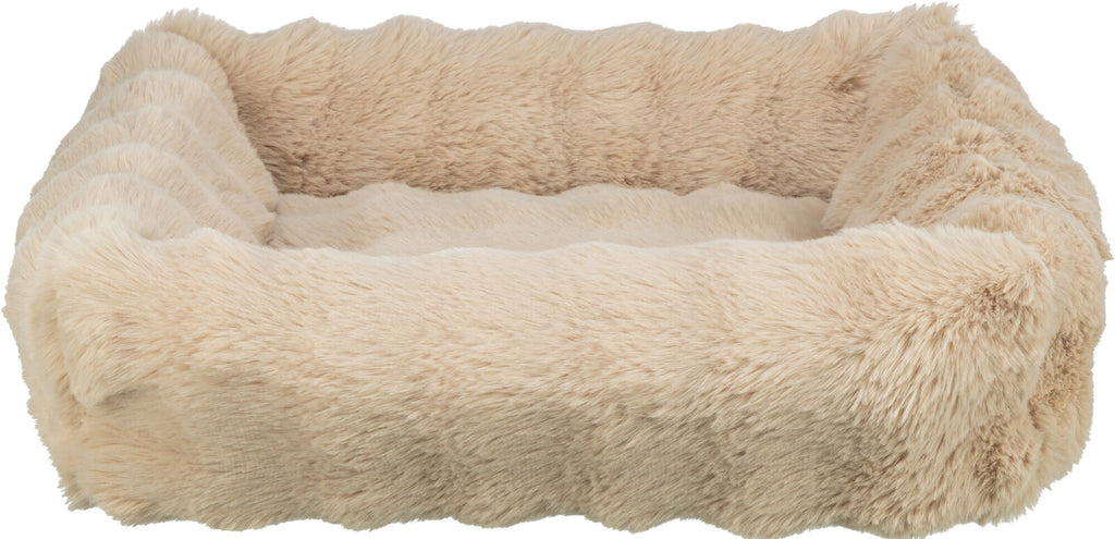 Cama Elli, arena