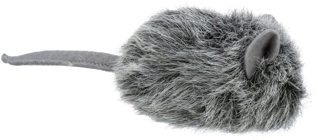 Ratón