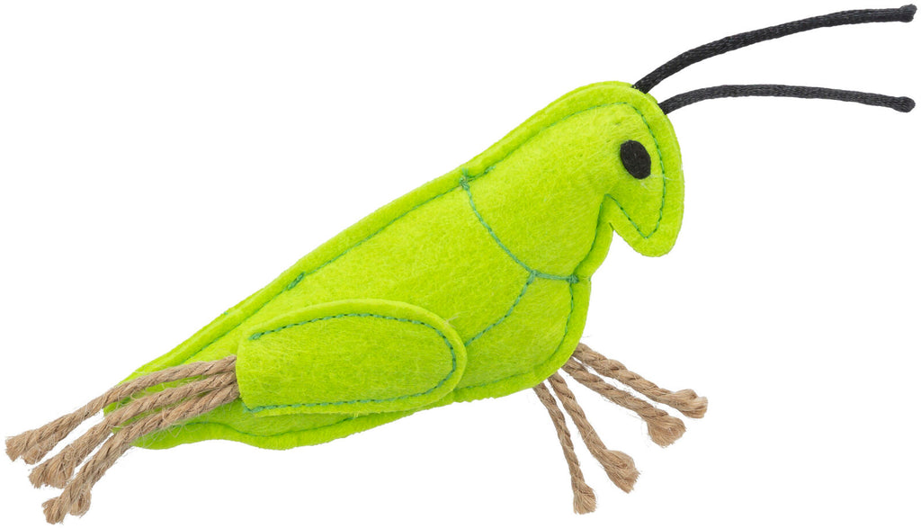 Insectos