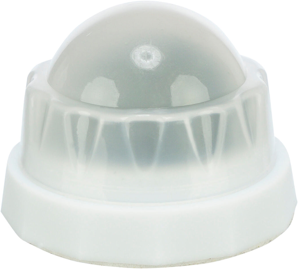 Pelota Catnip con soporte
