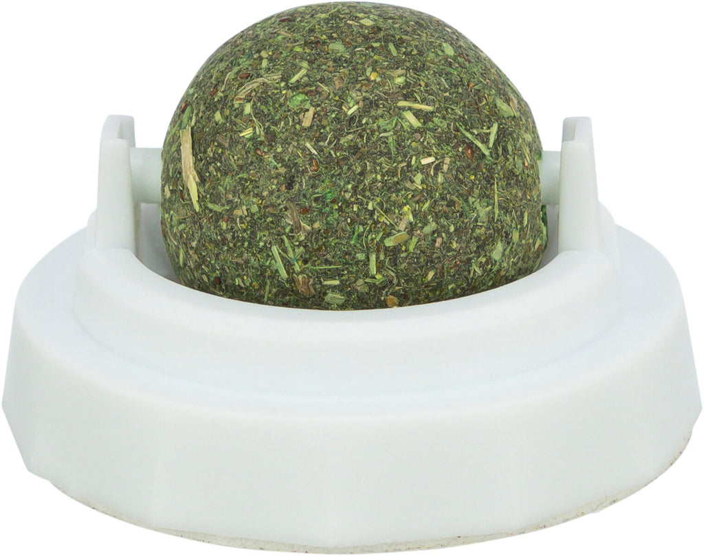 Pelota Catnip con soporte