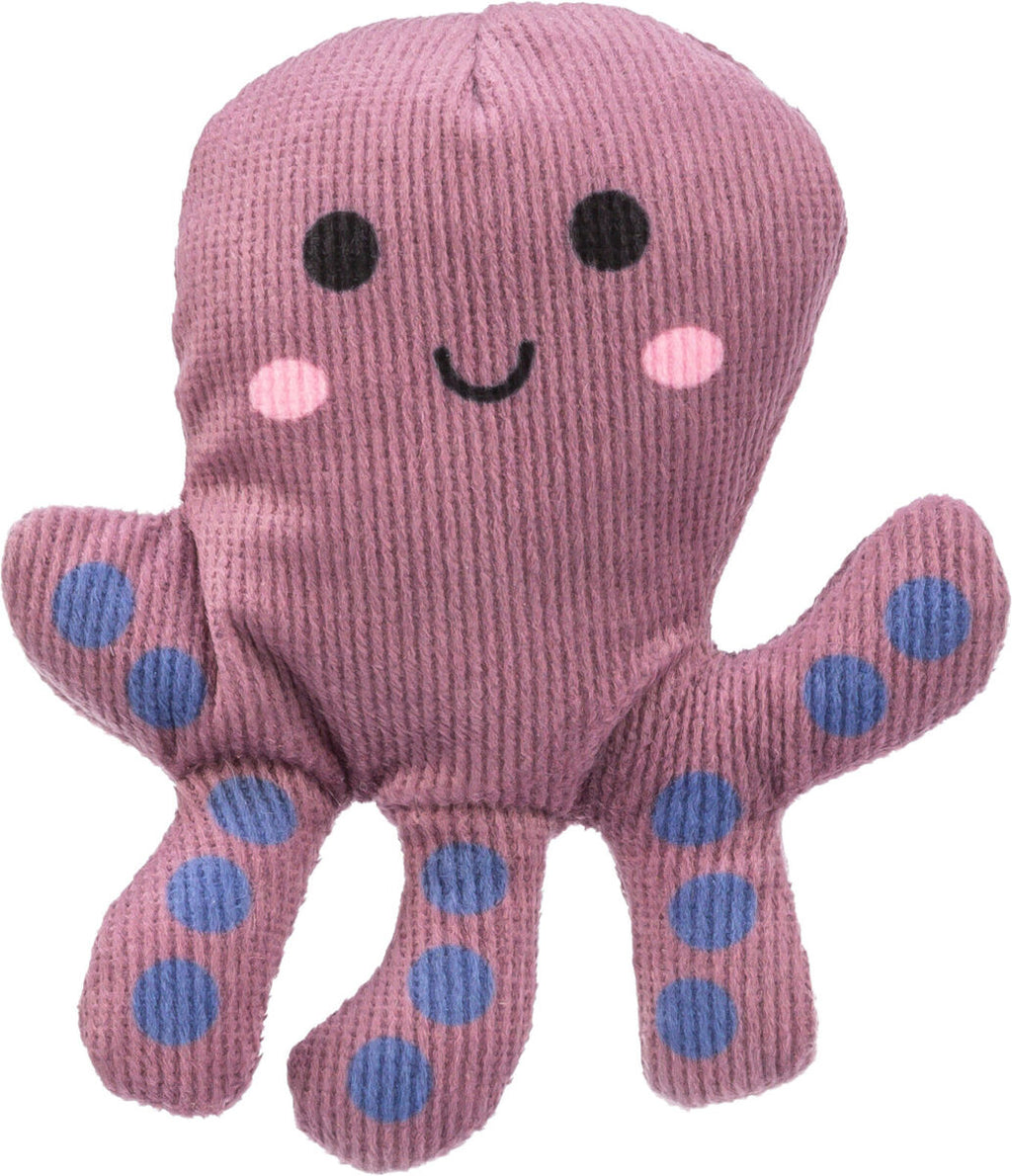 Pulpo