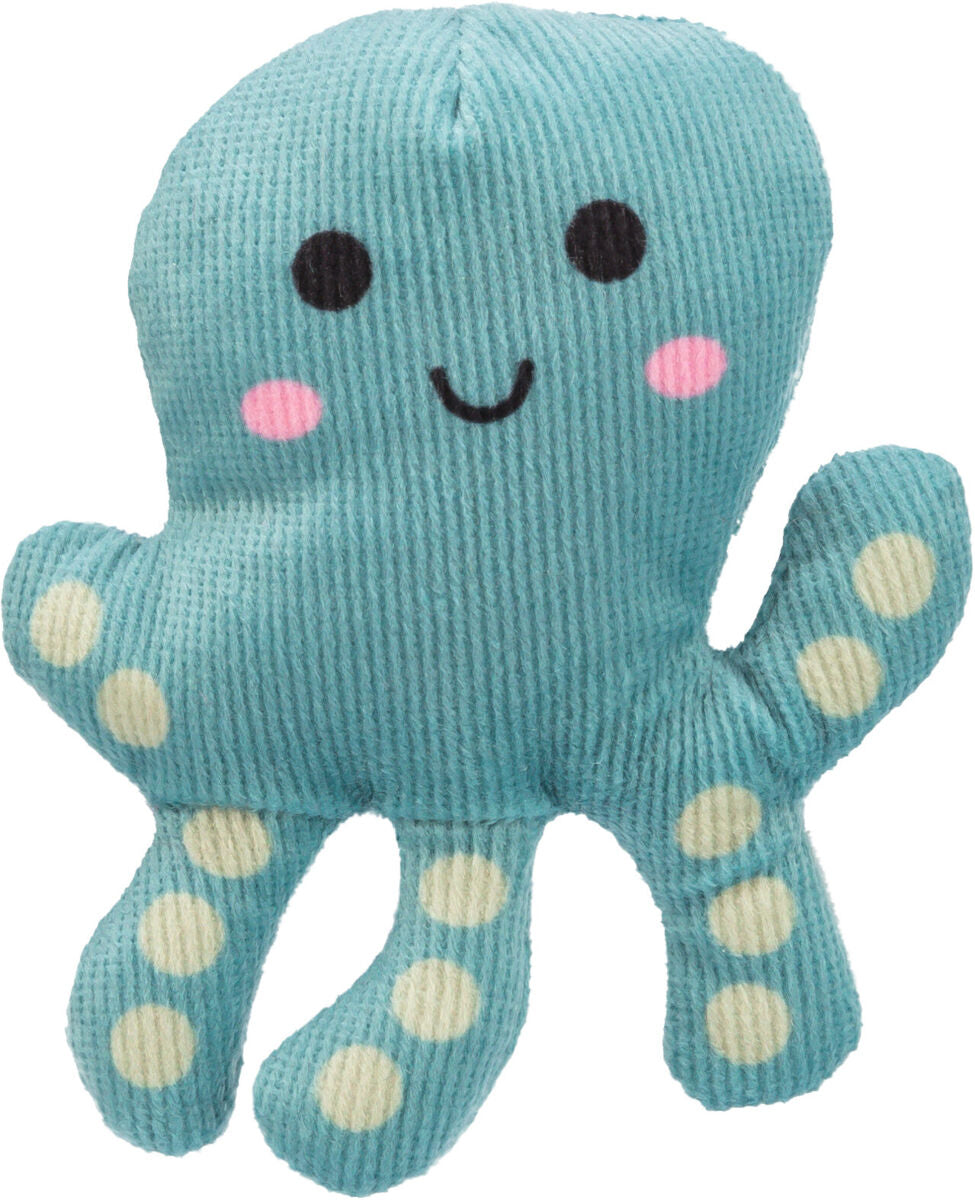 Pulpo