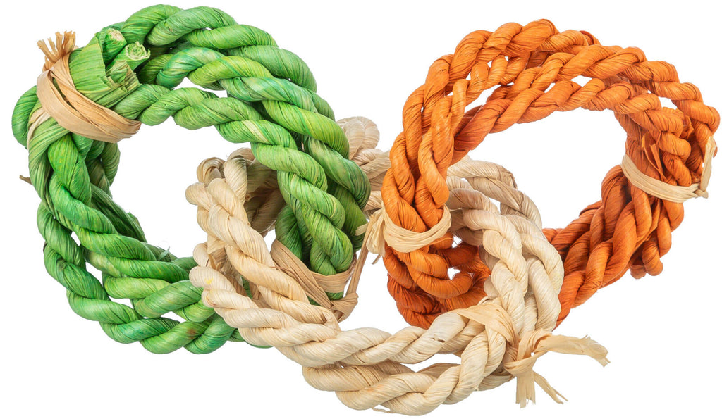 Juguete de Aros