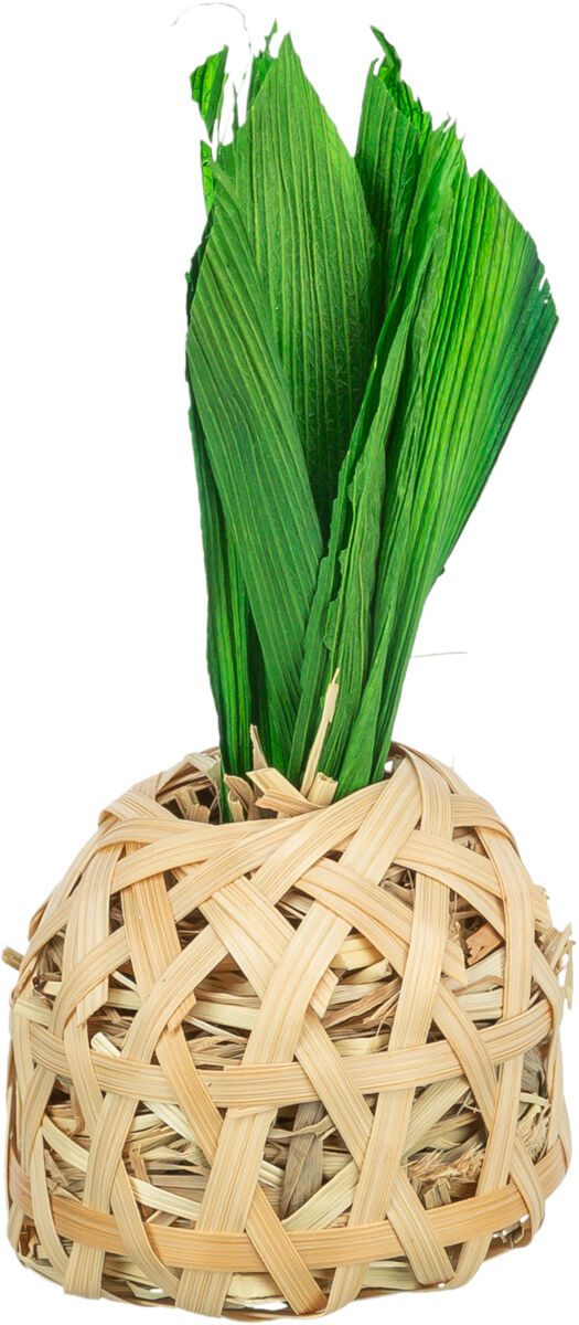 Piña