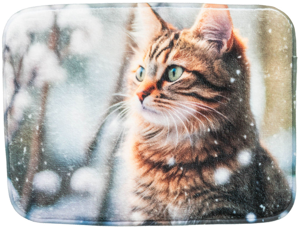 Colchoneta Gatos