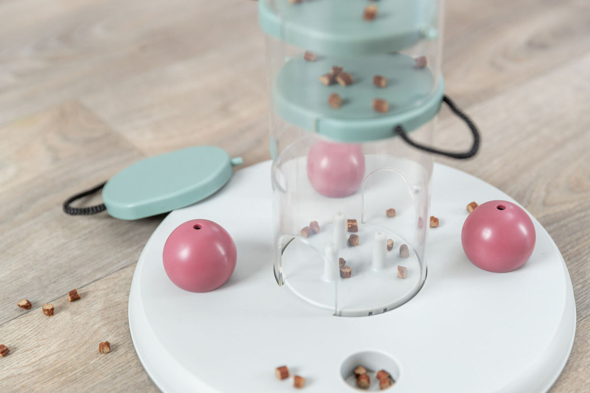 Cat Activity Gambling Tower