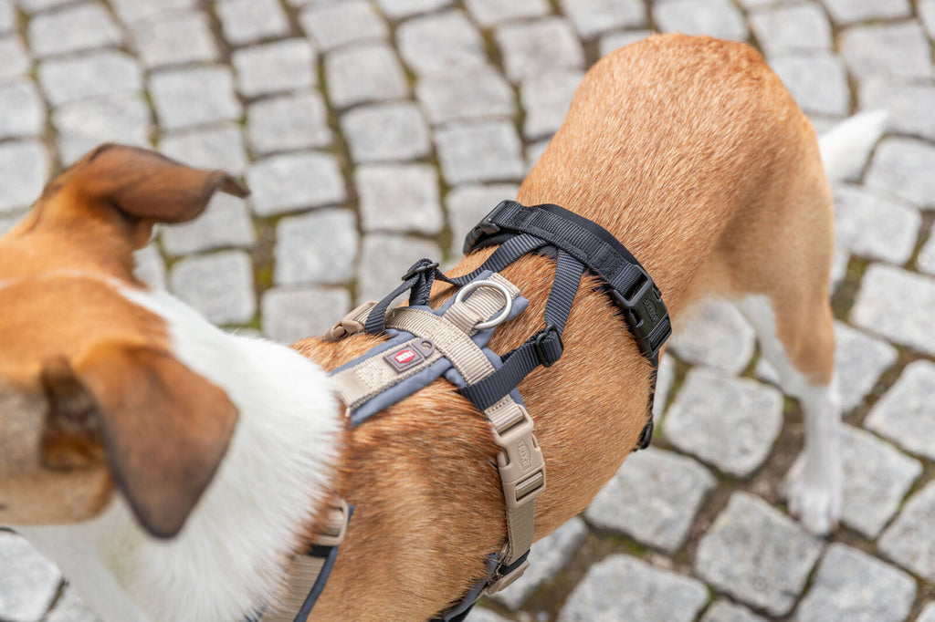 Adaptador antipánico Stay para arneses
