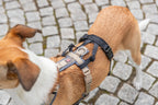 Adaptador antipánico Stay para arneses