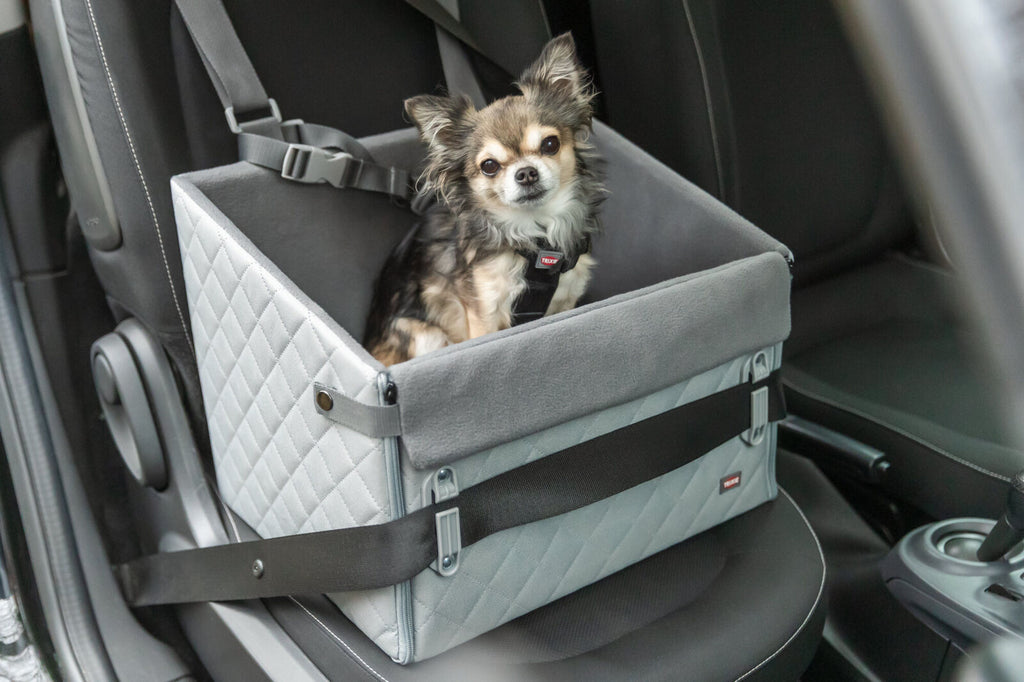 Asiento de coche