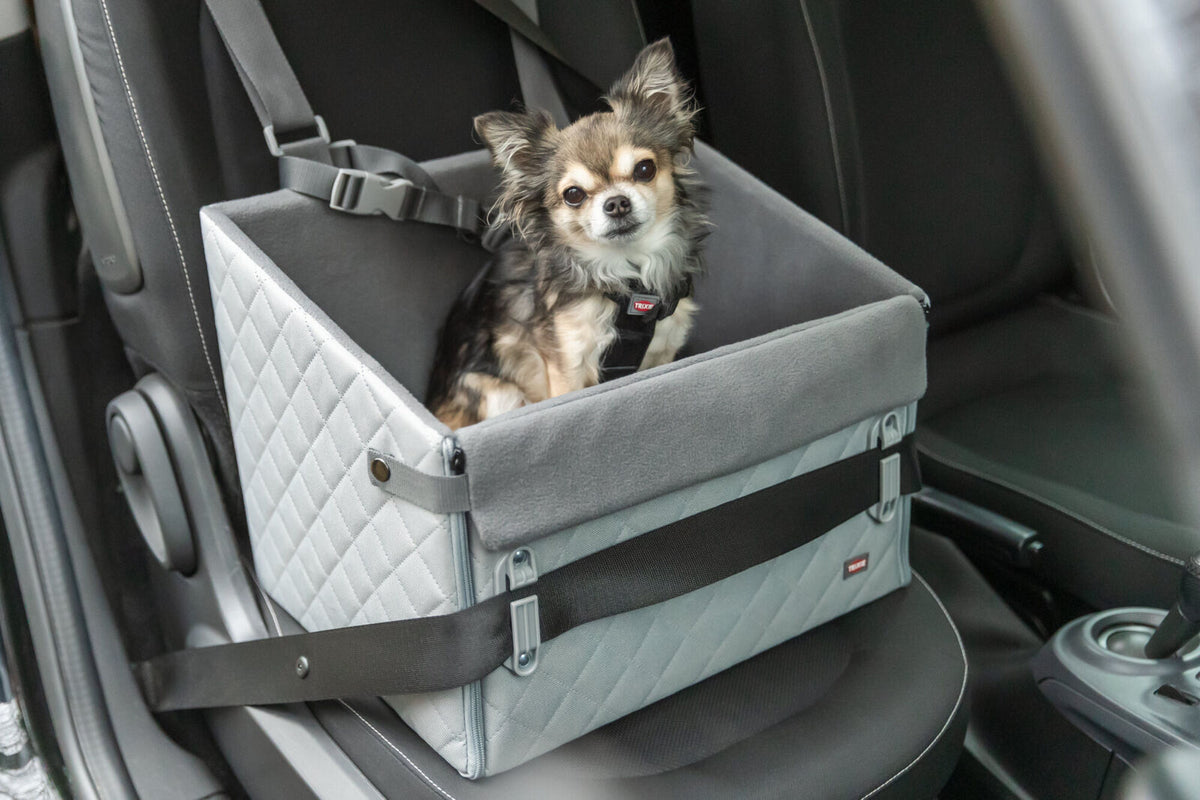 Asiento de coche