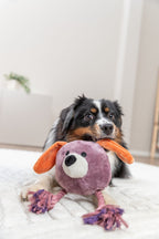 Perro