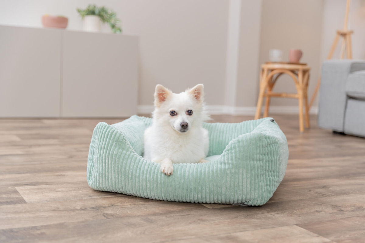 Cama Vital Jonna