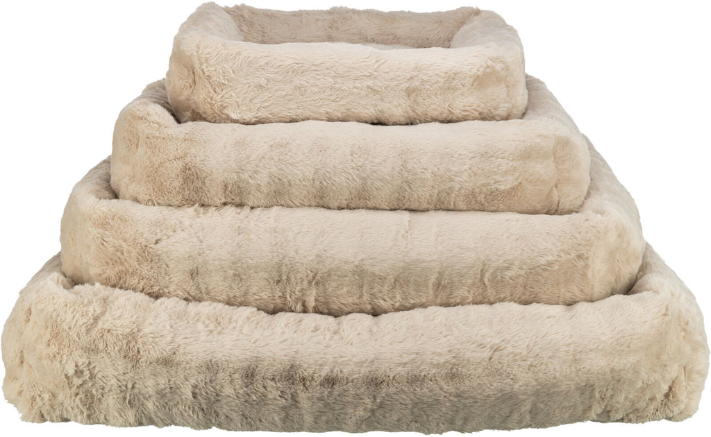 Cama Elli, arena