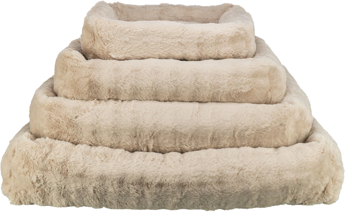 Cama Elli, arena