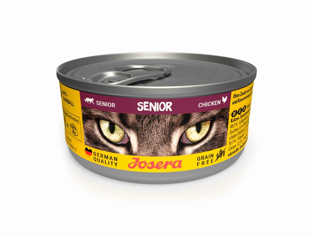 Senior Gato Húmedo