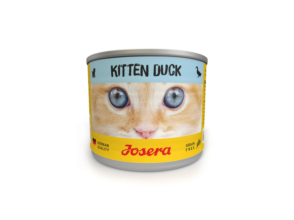 Pato Kitten Húmedo