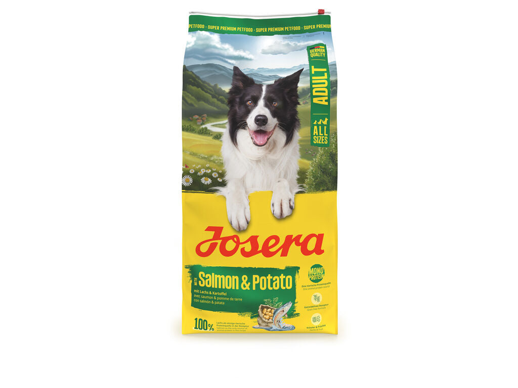 Salmon & Potato