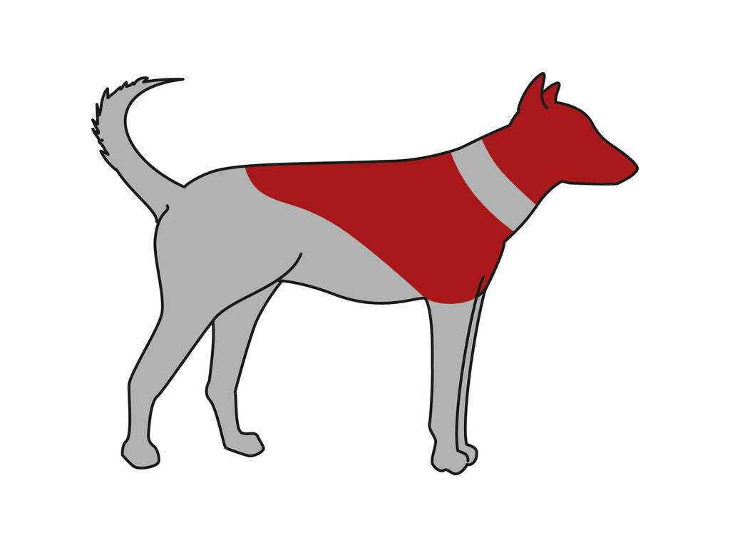 Collar Protector, inflable