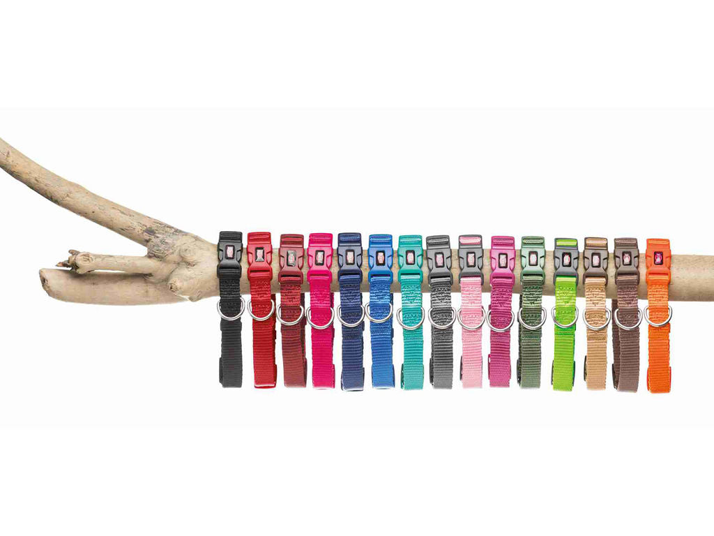 Collar New Premium Grafito