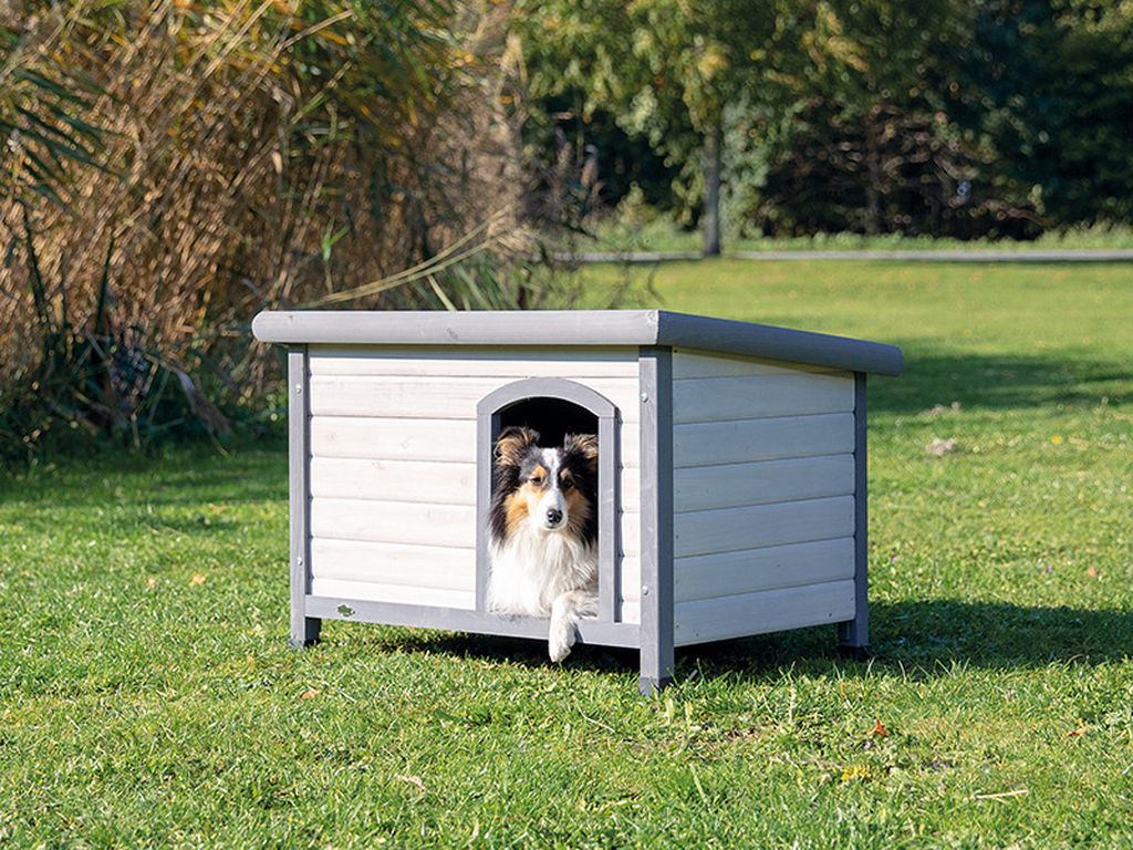 Caseta Perros Classic