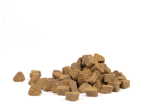 Alimento Completo Perros Adultos