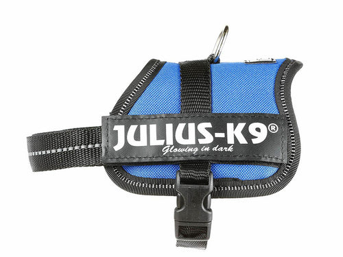 Arnés Julius-K9 Power Azul
