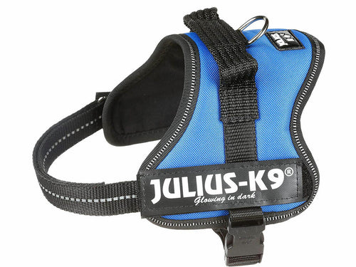 Arnés Julius-K9 Power Azul