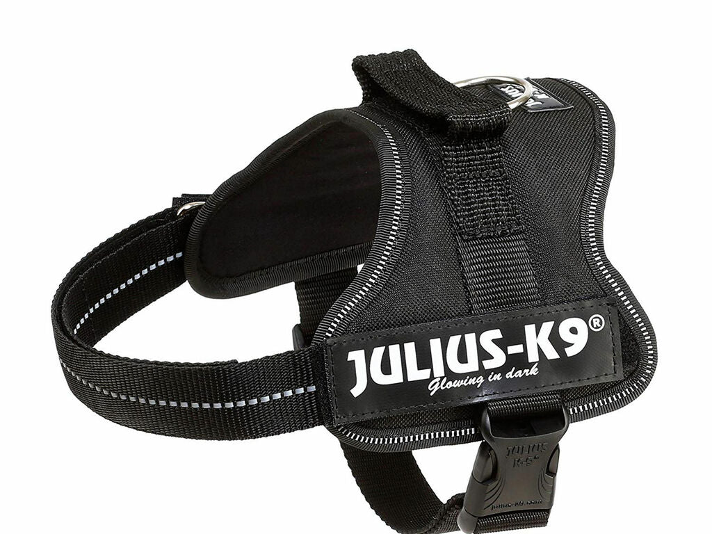 Arnés Julius-K9 Power Negro
