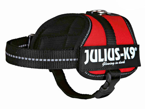 Arnés Julius-K9 Power Rojo