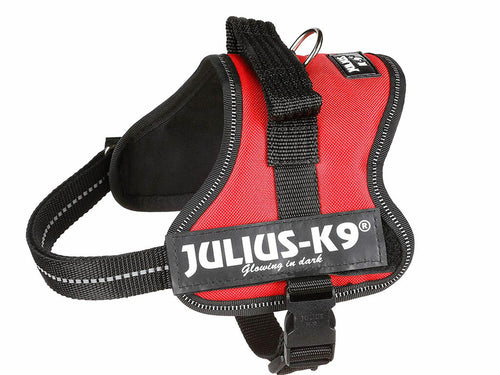 Arnés Julius-K9 Power Rojo
