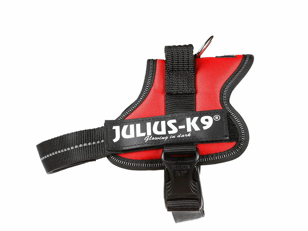 Arnés Julius-K9 Power Rojo