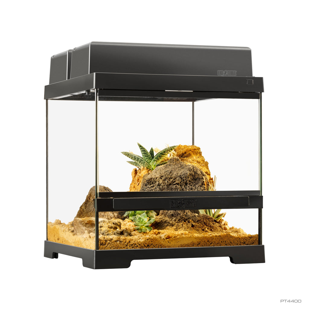 Pro Terrarium de Cristal Exo Terra XS 30x30cm